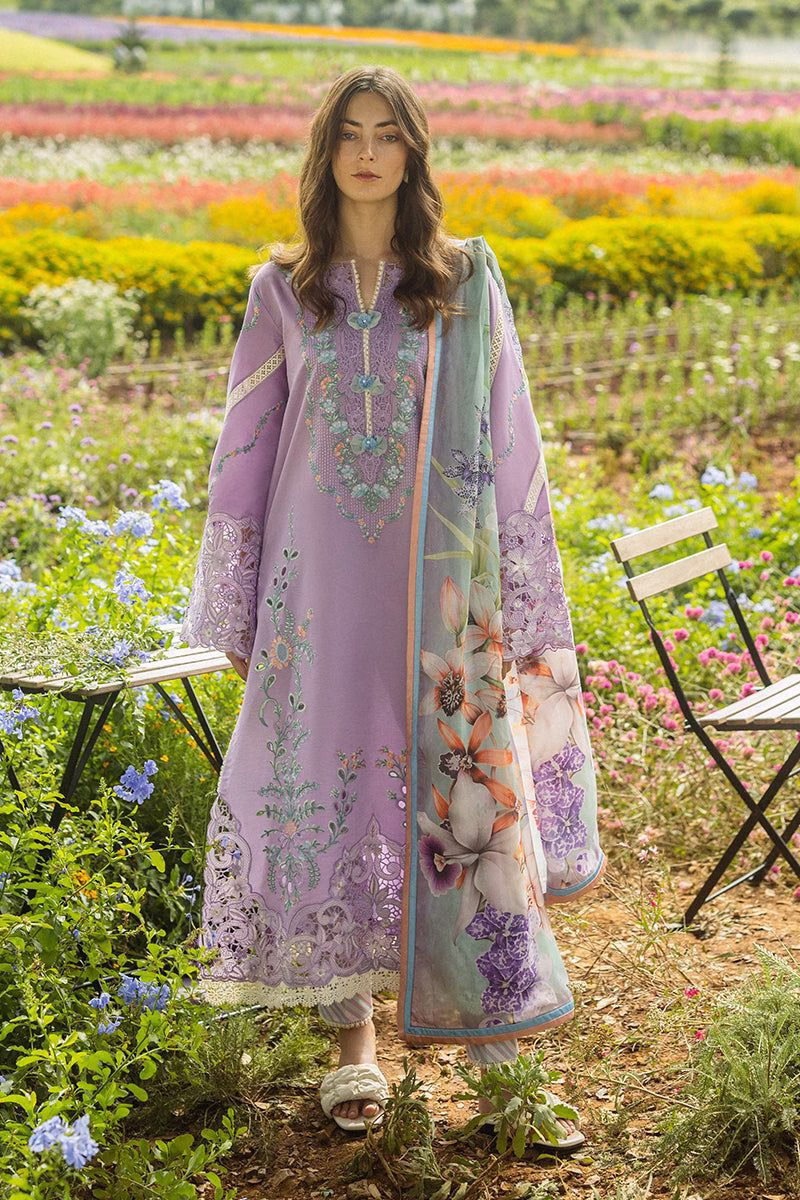 Mushq Winter Collection 2025 | Dhanak 3PC Embroidered Suit with Pashmina Shawl (ROR)